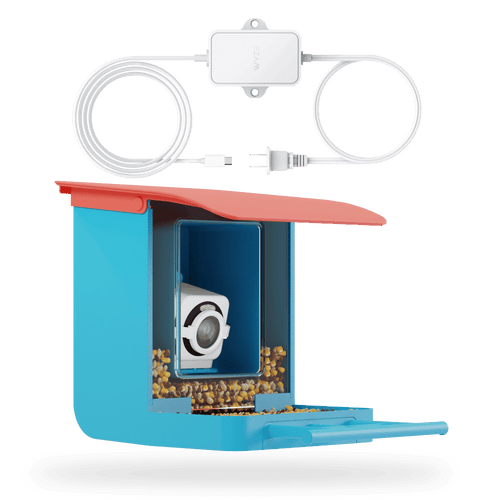 Bird Feeder Plug-in Cam v4 Bundle